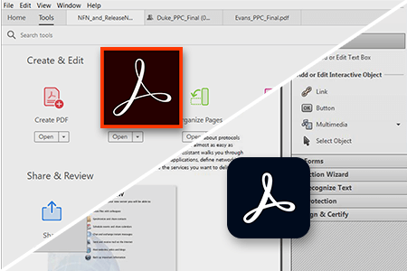 adobe acrobat standard vs professional